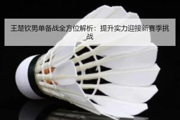 王楚钦男单备战全方位解析：提升实力迎接新赛季挑战